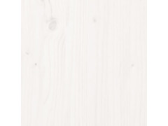 Venkovní stojan na dřevo bílá 108x52x74 cm masivní borovice