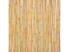 Bambusový plot 300 x 100 cm