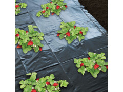 Nature Mulčovací textilie pro jahody 1,4 x 20 m 6030231