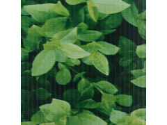 Stínící plotové fólie 4 ks PVC 35 x 0,19 m zelené