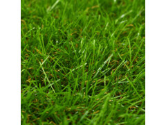 Umělá tráva 1,5 x 5 m / 40 mm zelená