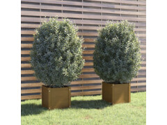  Zahradní truhlíky 2 ks medově hnědé 40x40x40cm masivní borovice