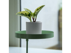 Esschert Design Stojan na rostliny se svorkou kulatý zelený M